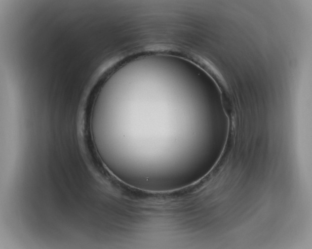 X0000113740724200909301010