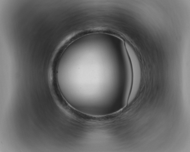 X0000113740726200909301010