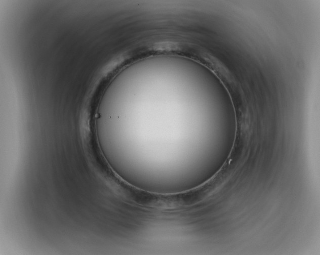 X0000113740727200909301010