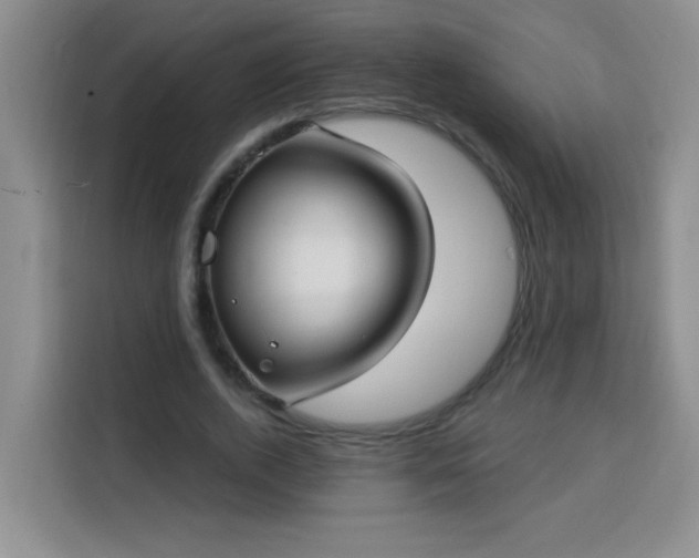 X0000113740728200909301010