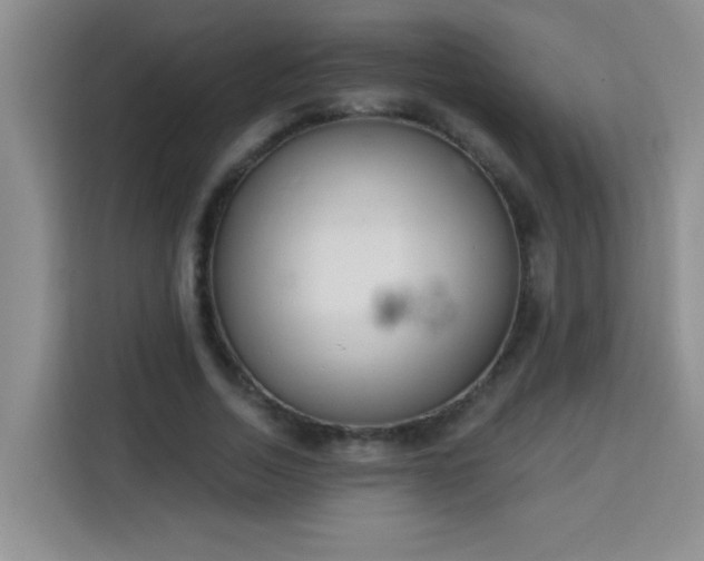 X0000113740730200909301011