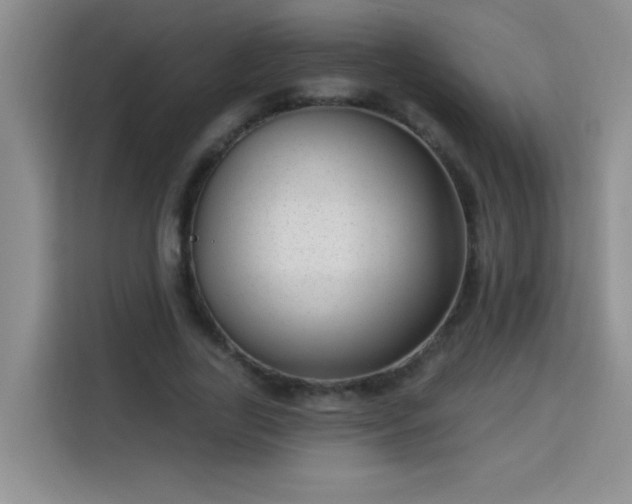 X0000113740731200909301011