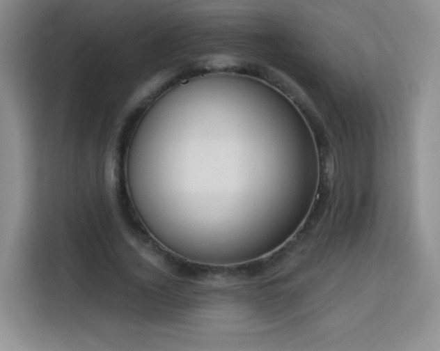 X0000113740732200909301011