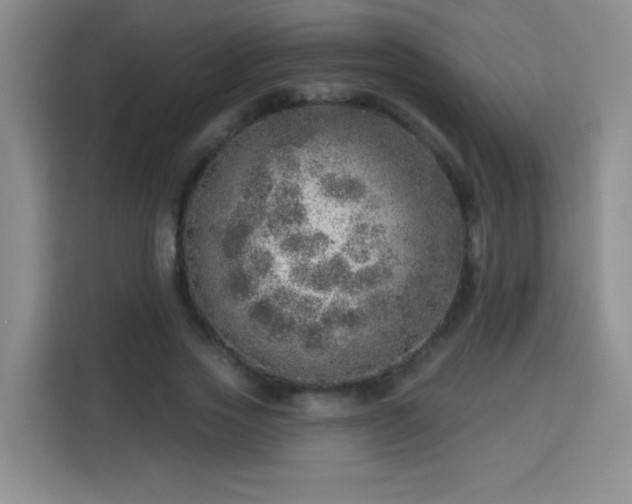 X0000113740733200909301011