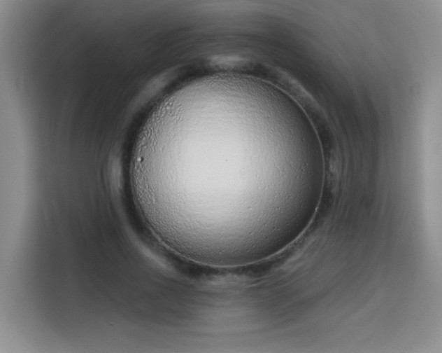 X0000113740734200909301011