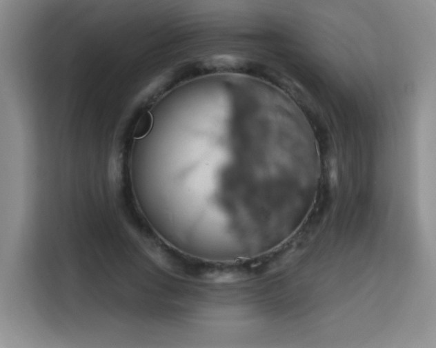 X0000113740735200909301011