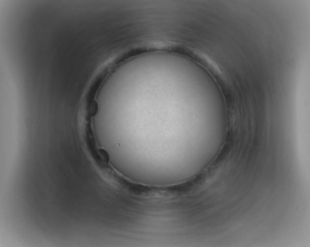 X0000113740736200909301011