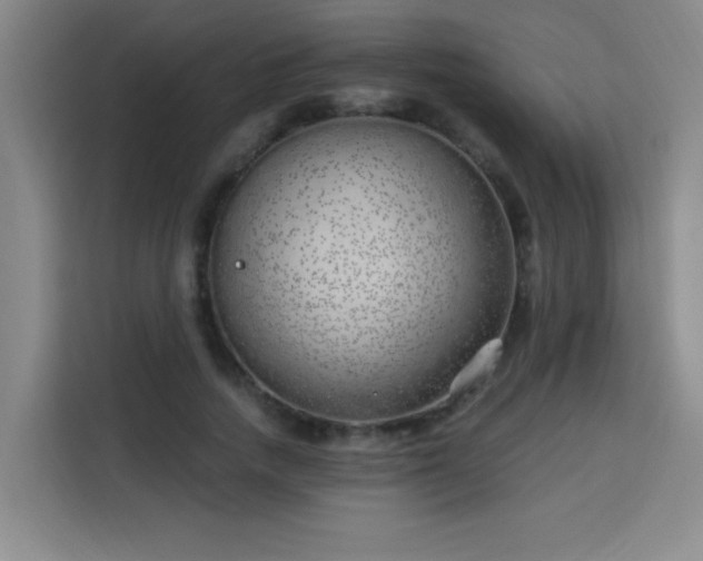 X0000113740738200909301011