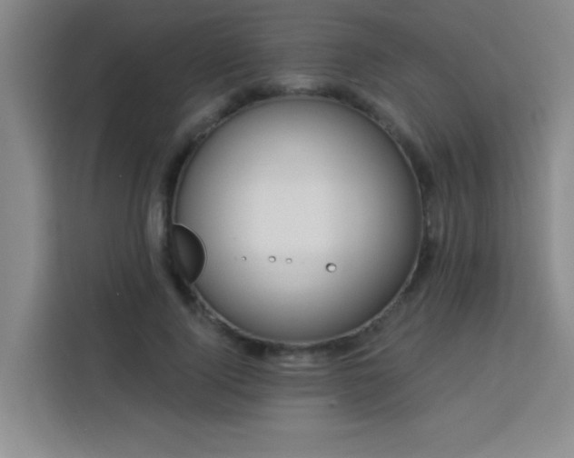 X0000113740740200909301011