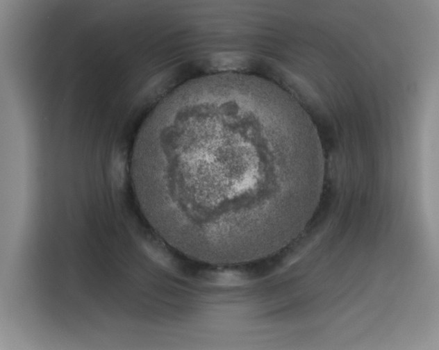 X0000113740741200909301011