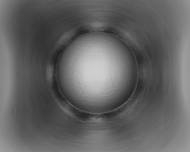 X0000113740742200909301011