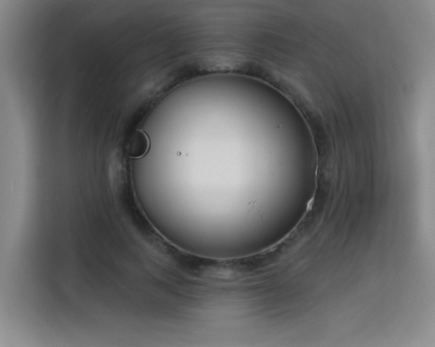 X0000113740743200909301011