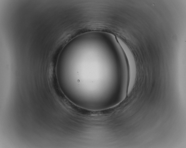 X0000113740744200909301011