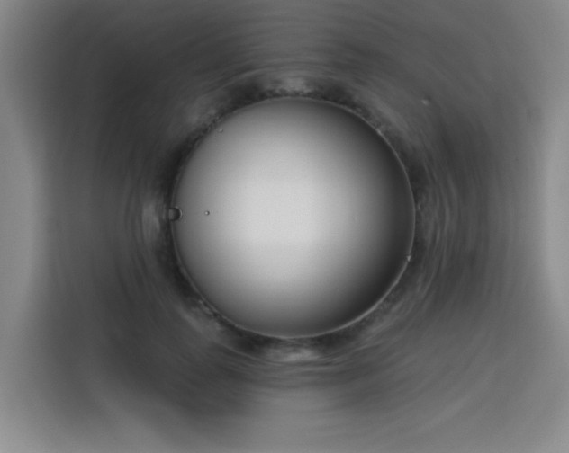 X0000113740747200909301011