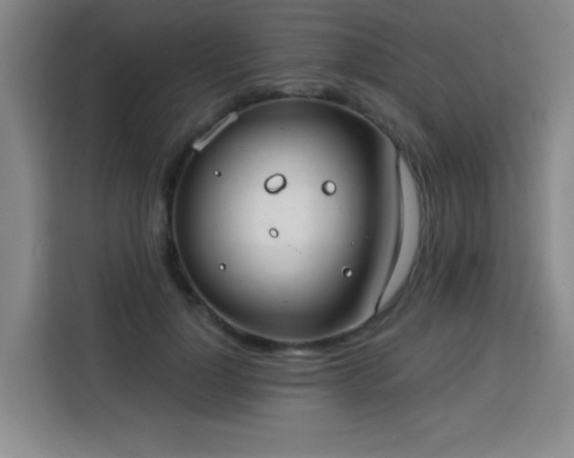 X0000113740748200909301011