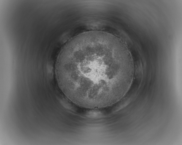 X0000113740749200909301011