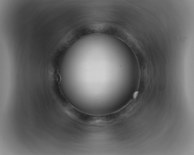 X0000113740750200909301011