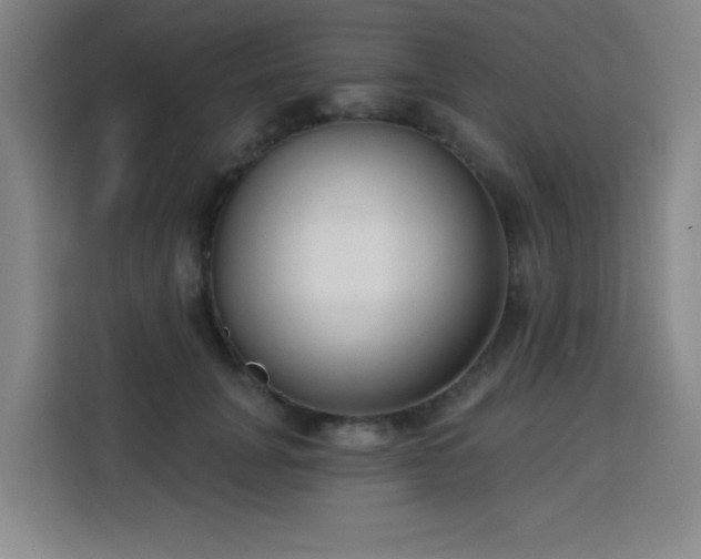 X0000113740751200909301011