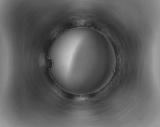 X0000113740754200909301011