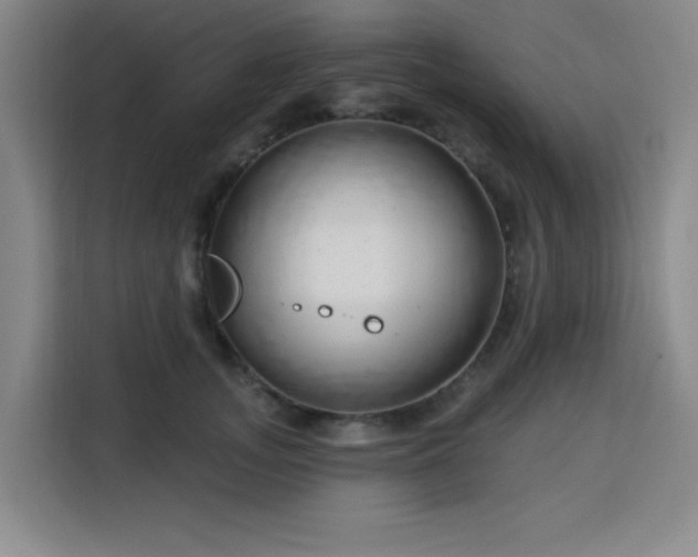 X0000113740755200909301011