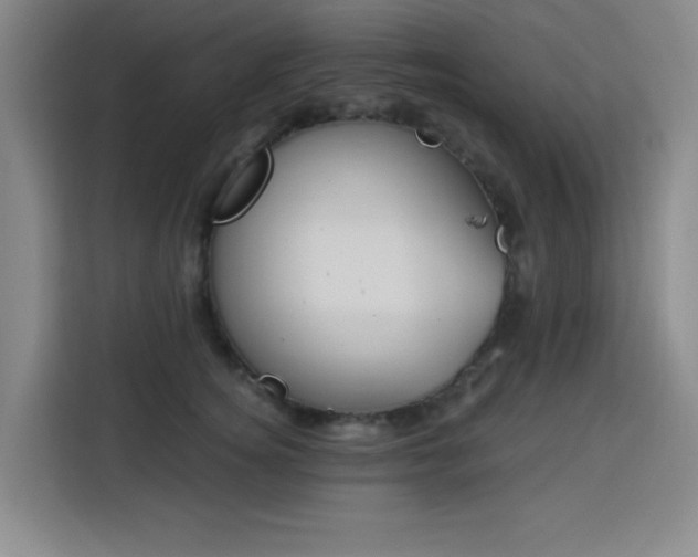 X0000113740756200909301011