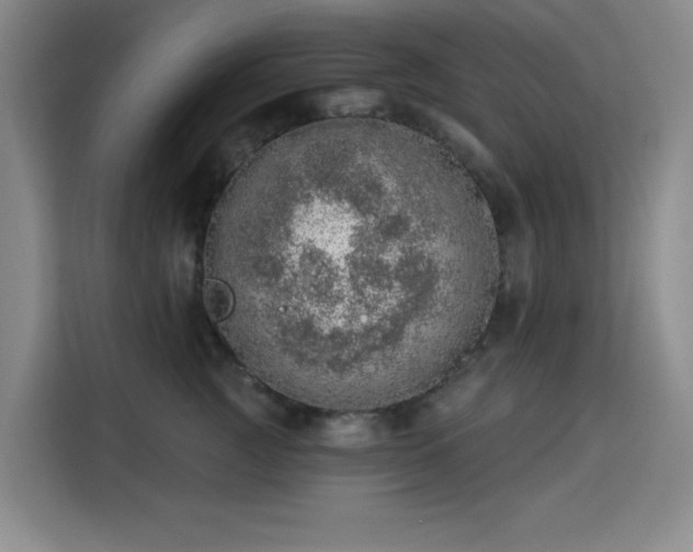 X0000113740761200909301011