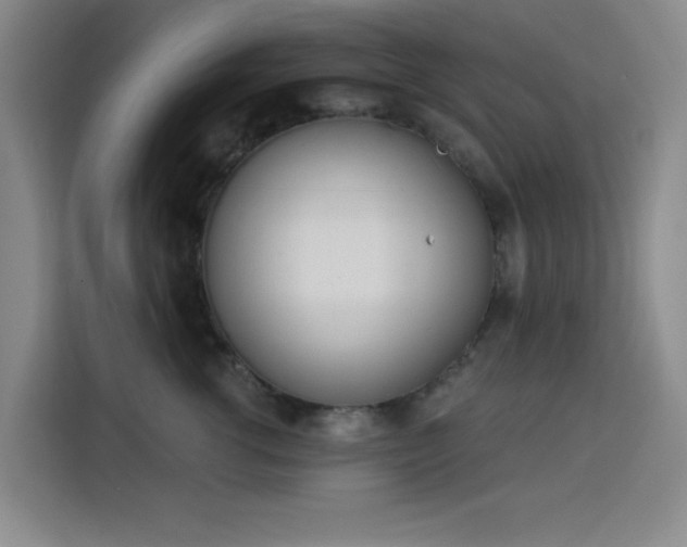 X0000113740762200909301011