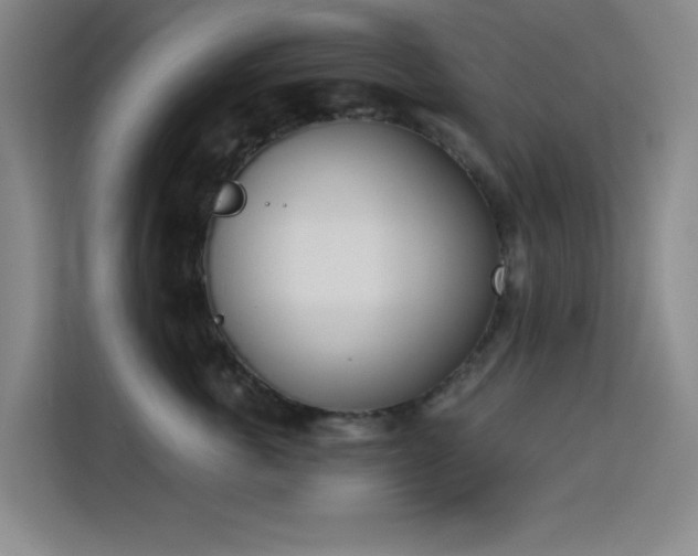 X0000113740763200909301011