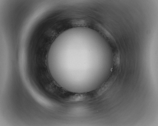 X0000113740764200909301011