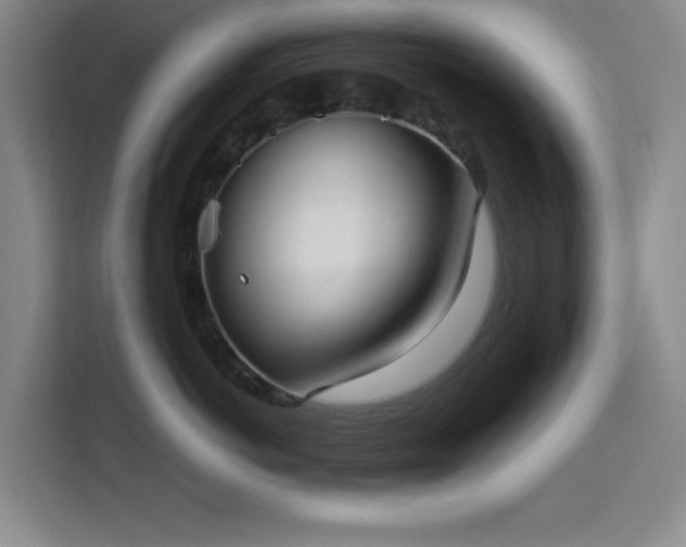 X0000113740766200909301011