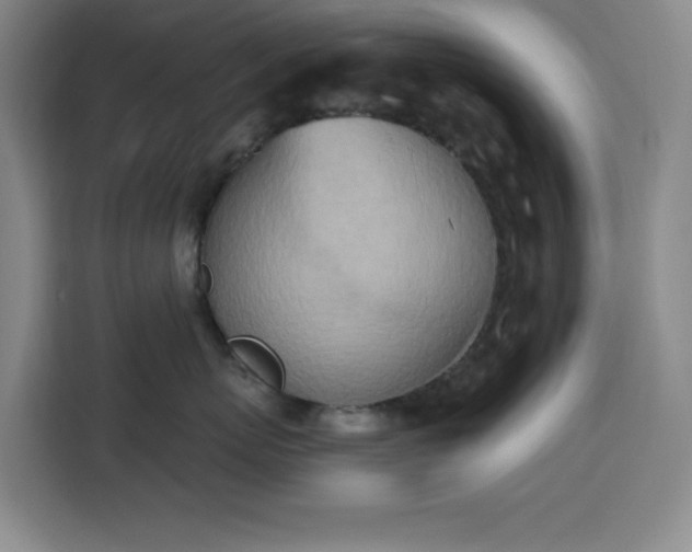 X0000113740767200909301011