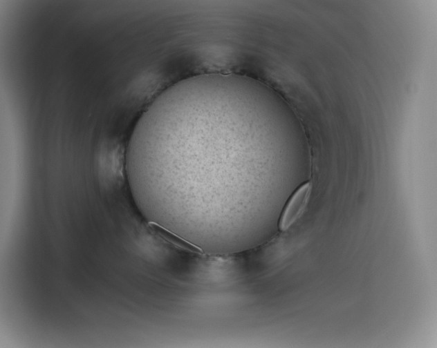 X0000113740768200909301011