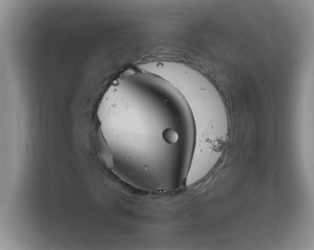 X0000113740769200909301010