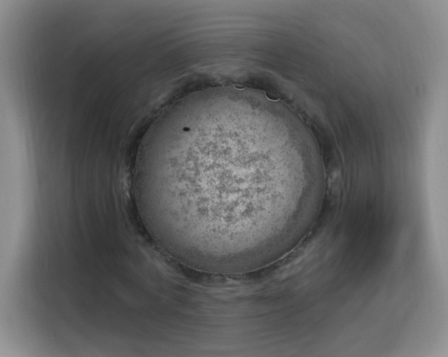 X0000113740772200909301010