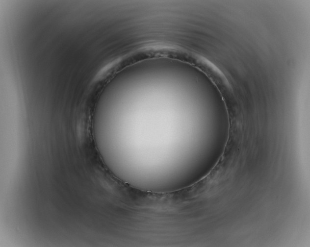 X0000113740775200909301010