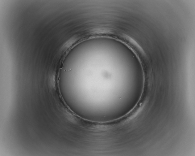 X0000113740777200909301010