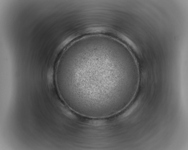 X0000113740778200909301010