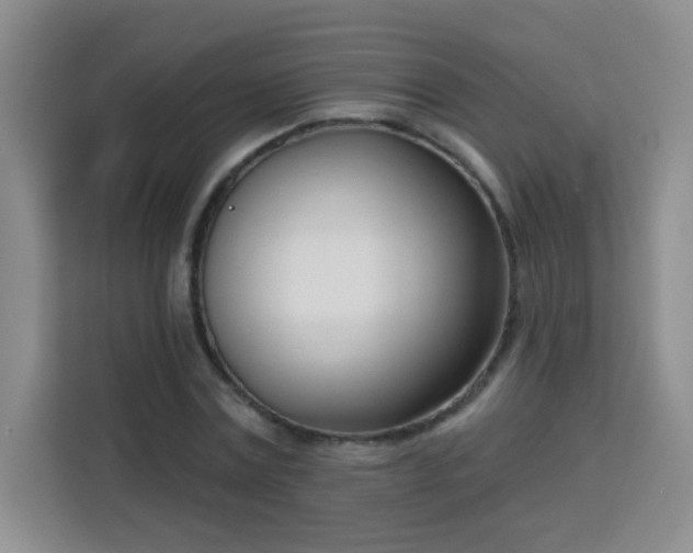 X0000113740779200909301010