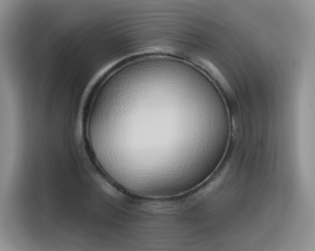 X0000113740780200909301010