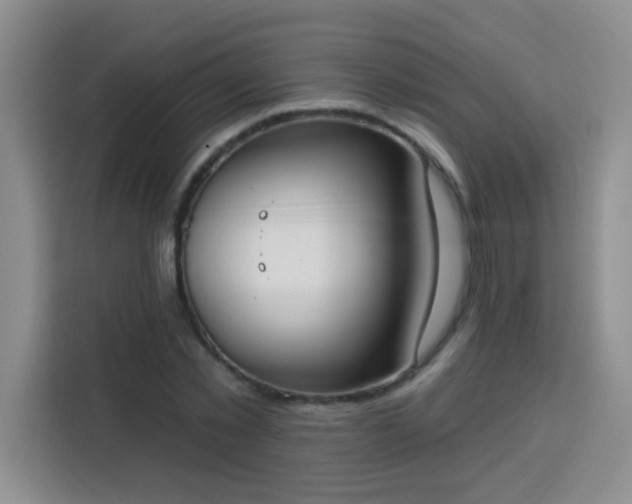 X0000113740781200909301010