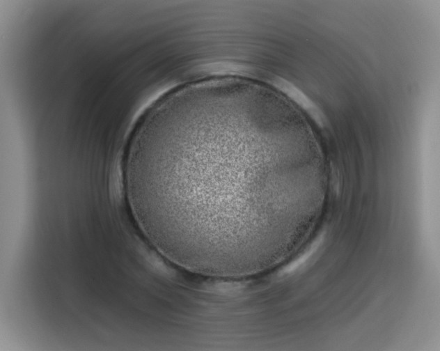 X0000113740782200909301010