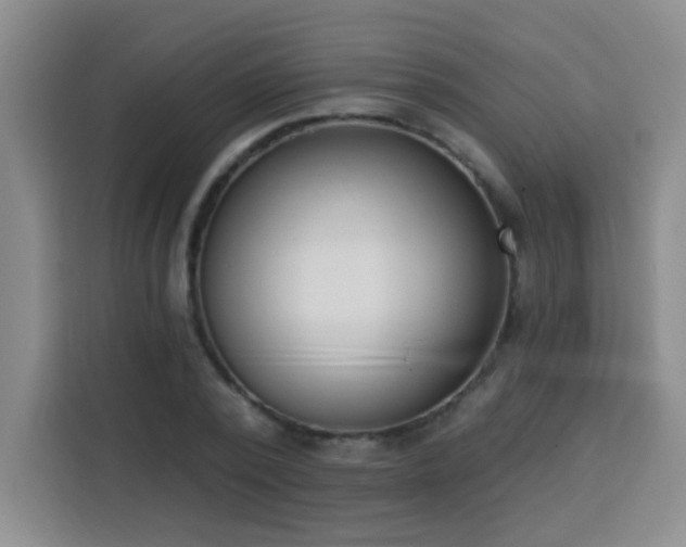 X0000113740784200909301010