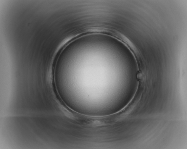 X0000113740787200909301010