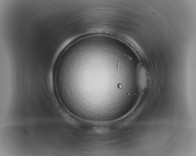 X0000113740788200909301010