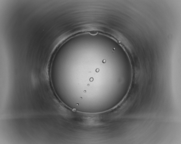 X0000113740789200909301010