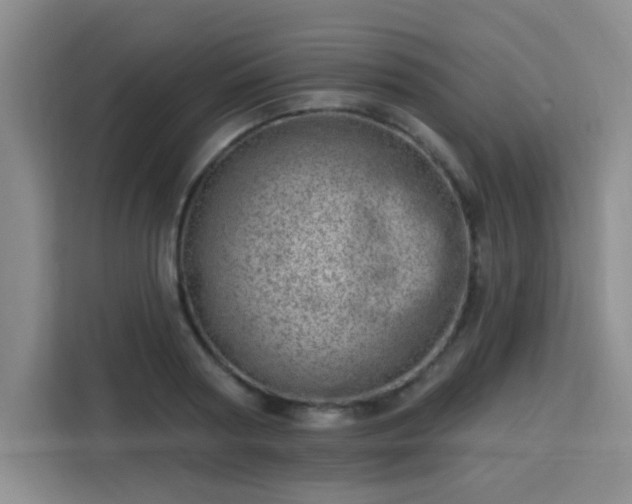 X0000113740794200909301010