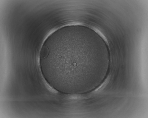 X0000113740797200909301010