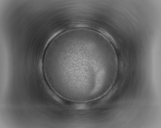 X0000113740798200909301010