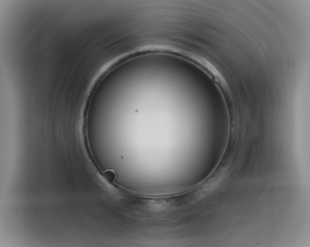 X0000113740799200909301010