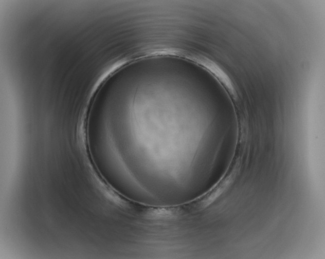 X0000113740806200909301010